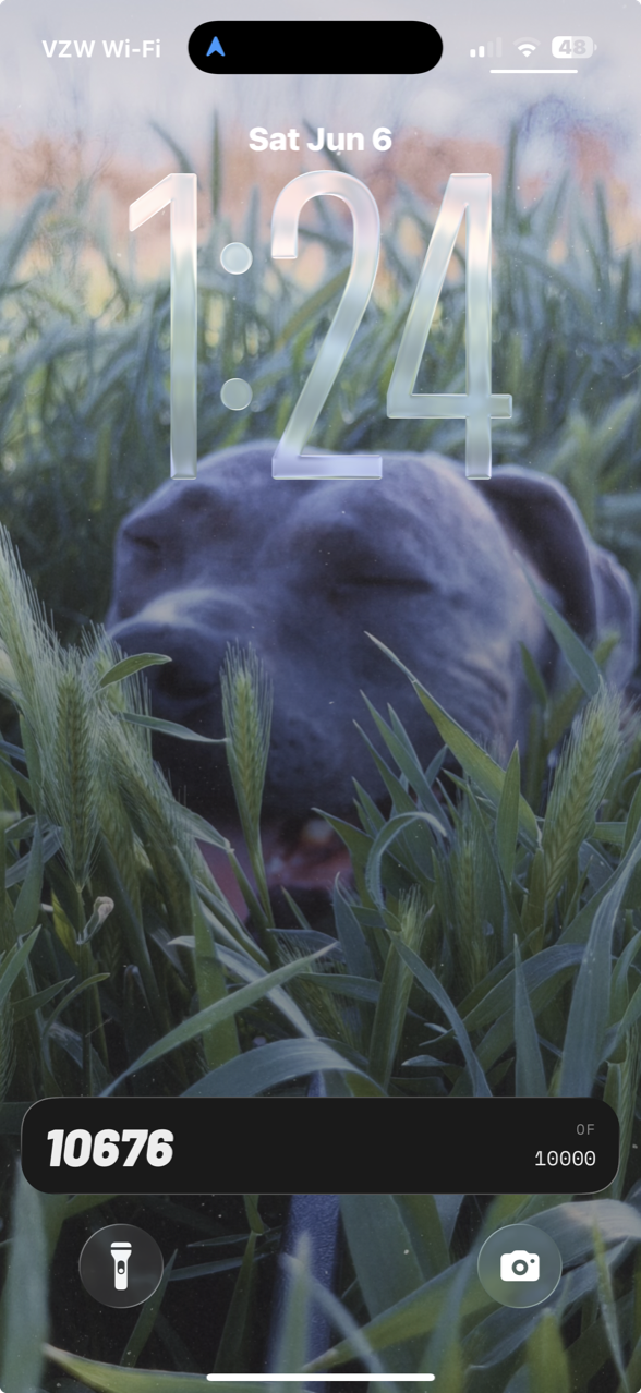STEPPPS lock screen widget